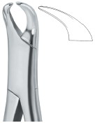 Tooth Ext Forceps Amr