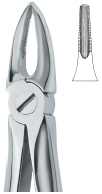 Tooth Ext Forceps