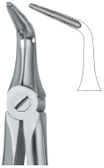 Tooth Ext Forceps