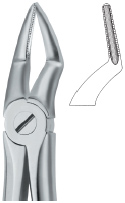 Tooth Ext Forceps