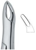 Tooth Ext Forceps Amr