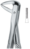 Tooth Ext Forceps