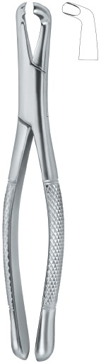 Tooth Ext Forceps Amr