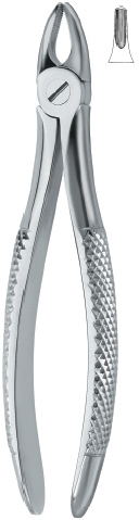 Tooth Ext Forceps