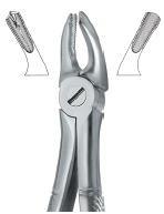 Tooth Ext Forceps