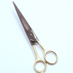 Hair Scissors