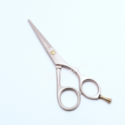 Hair Scissors