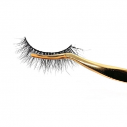 Lash Applicator