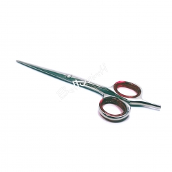 Hair Scissors